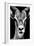 Safari Profile Collection - Portrait of Antelope Black Edition-Philippe Hugonnard-Framed Photographic Print