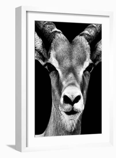 Safari Profile Collection - Portrait of Antelope Black Edition-Philippe Hugonnard-Framed Photographic Print