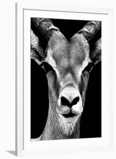 Safari Profile Collection - Portrait of Antelope Black Edition-Philippe Hugonnard-Framed Photographic Print