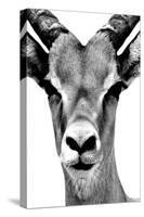 Safari Profile Collection - Portrait of Antelope White Edition-Philippe Hugonnard-Stretched Canvas