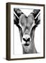 Safari Profile Collection - Portrait of Antelope White Edition-Philippe Hugonnard-Framed Photographic Print