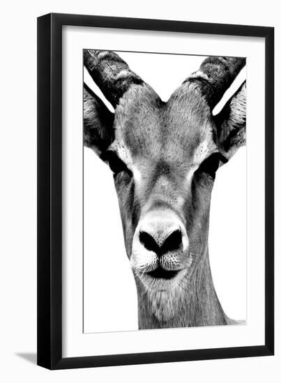 Safari Profile Collection - Portrait of Antelope White Edition-Philippe Hugonnard-Framed Photographic Print