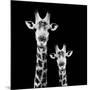 Safari Profile Collection - Portrait of Giraffe and Baby Black Edition II-Philippe Hugonnard-Mounted Photographic Print