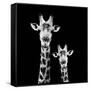 Safari Profile Collection - Portrait of Giraffe and Baby Black Edition II-Philippe Hugonnard-Framed Stretched Canvas