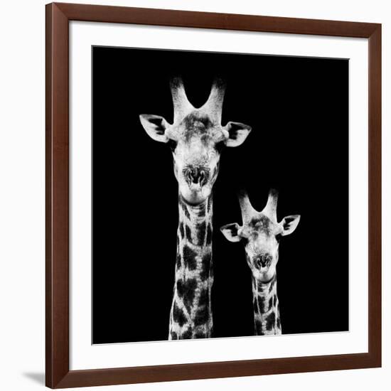 Safari Profile Collection - Portrait of Giraffe and Baby Black Edition II-Philippe Hugonnard-Framed Photographic Print