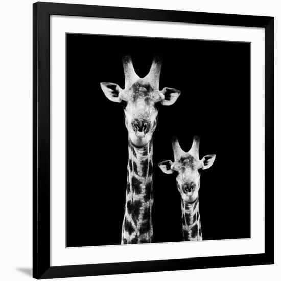 Safari Profile Collection - Portrait of Giraffe and Baby Black Edition II-Philippe Hugonnard-Framed Photographic Print