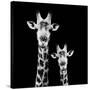 Safari Profile Collection - Portrait of Giraffe and Baby Black Edition II-Philippe Hugonnard-Stretched Canvas