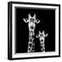 Safari Profile Collection - Portrait of Giraffe and Baby Black Edition II-Philippe Hugonnard-Framed Photographic Print