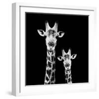 Safari Profile Collection - Portrait of Giraffe and Baby Black Edition II-Philippe Hugonnard-Framed Photographic Print