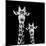 Safari Profile Collection - Portrait of Giraffe and Baby Black Edition II-Philippe Hugonnard-Mounted Photographic Print