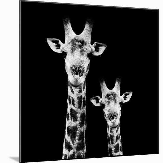 Safari Profile Collection - Portrait of Giraffe and Baby Black Edition II-Philippe Hugonnard-Mounted Photographic Print