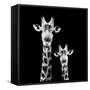 Safari Profile Collection - Portrait of Giraffe and Baby Black Edition II-Philippe Hugonnard-Framed Stretched Canvas
