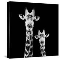 Safari Profile Collection - Portrait of Giraffe and Baby Black Edition II-Philippe Hugonnard-Stretched Canvas