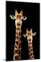 Safari Profile Collection - Portrait of Giraffe and Baby Black Edition III-Philippe Hugonnard-Mounted Photographic Print