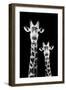 Safari Profile Collection - Portrait of Giraffe and Baby Black Edition IV-Philippe Hugonnard-Framed Premium Photographic Print