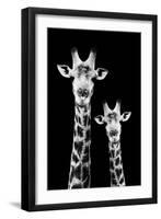 Safari Profile Collection - Portrait of Giraffe and Baby Black Edition IV-Philippe Hugonnard-Framed Premium Photographic Print