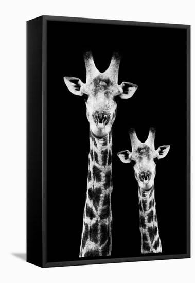 Safari Profile Collection - Portrait of Giraffe and Baby Black Edition IV-Philippe Hugonnard-Framed Stretched Canvas