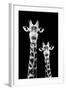 Safari Profile Collection - Portrait of Giraffe and Baby Black Edition IV-Philippe Hugonnard-Framed Photographic Print