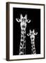 Safari Profile Collection - Portrait of Giraffe and Baby Black Edition IV-Philippe Hugonnard-Framed Photographic Print