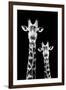 Safari Profile Collection - Portrait of Giraffe and Baby Black Edition IV-Philippe Hugonnard-Framed Photographic Print