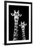 Safari Profile Collection - Portrait of Giraffe and Baby Black Edition IV-Philippe Hugonnard-Framed Photographic Print