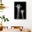 Safari Profile Collection - Portrait of Giraffe and Baby Black Edition IV-Philippe Hugonnard-Framed Stretched Canvas displayed on a wall