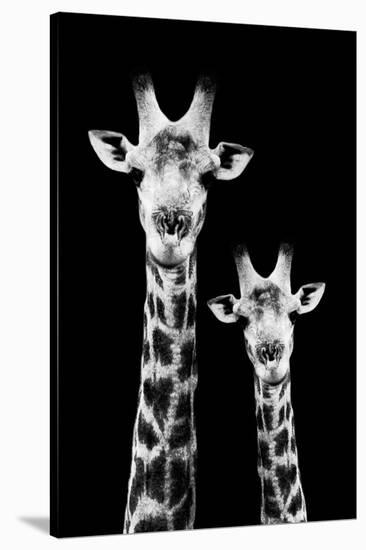 Safari Profile Collection - Portrait of Giraffe and Baby Black Edition IV-Philippe Hugonnard-Stretched Canvas