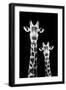 Safari Profile Collection - Portrait of Giraffe and Baby Black Edition IV-Philippe Hugonnard-Framed Photographic Print