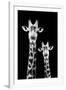 Safari Profile Collection - Portrait of Giraffe and Baby Black Edition IV-Philippe Hugonnard-Framed Photographic Print