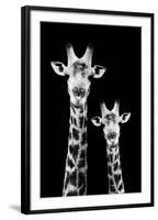 Safari Profile Collection - Portrait of Giraffe and Baby Black Edition IV-Philippe Hugonnard-Framed Photographic Print