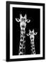 Safari Profile Collection - Portrait of Giraffe and Baby Black Edition IV-Philippe Hugonnard-Framed Photographic Print