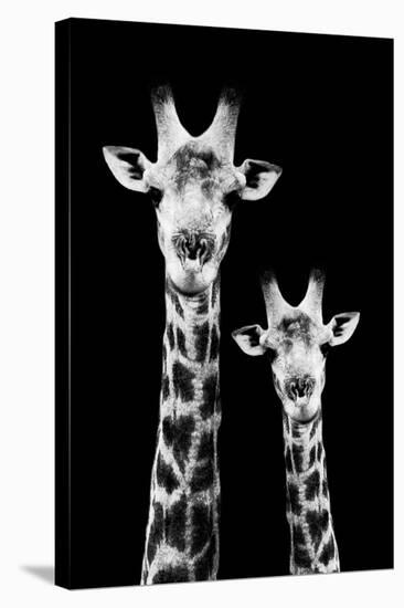 Safari Profile Collection - Portrait of Giraffe and Baby Black Edition IV-Philippe Hugonnard-Stretched Canvas