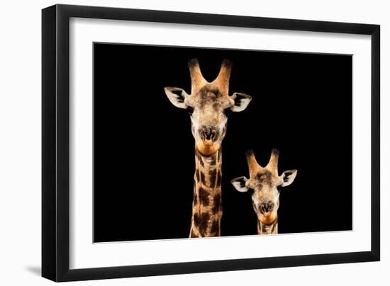 Safari Profile Collection - Portrait of Giraffe and Baby Black Edition V-Philippe Hugonnard-Framed Photographic Print