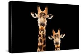 Safari Profile Collection - Portrait of Giraffe and Baby Black Edition V-Philippe Hugonnard-Stretched Canvas