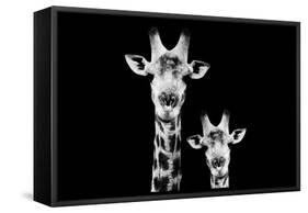 Safari Profile Collection - Portrait of Giraffe and Baby Black Edition VI-Philippe Hugonnard-Framed Stretched Canvas