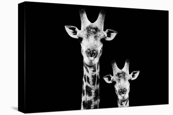 Safari Profile Collection - Portrait of Giraffe and Baby Black Edition VI-Philippe Hugonnard-Stretched Canvas