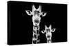 Safari Profile Collection - Portrait of Giraffe and Baby Black Edition VI-Philippe Hugonnard-Stretched Canvas