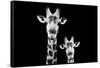 Safari Profile Collection - Portrait of Giraffe and Baby Black Edition VI-Philippe Hugonnard-Framed Stretched Canvas