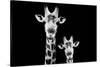 Safari Profile Collection - Portrait of Giraffe and Baby Black Edition VI-Philippe Hugonnard-Stretched Canvas