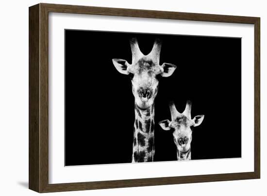 Safari Profile Collection - Portrait of Giraffe and Baby Black Edition VI-Philippe Hugonnard-Framed Photographic Print