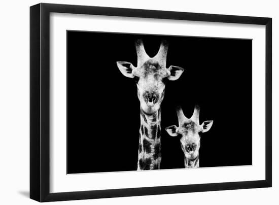 Safari Profile Collection - Portrait of Giraffe and Baby Black Edition VI-Philippe Hugonnard-Framed Photographic Print