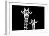 Safari Profile Collection - Portrait of Giraffe and Baby Black Edition VI-Philippe Hugonnard-Framed Photographic Print