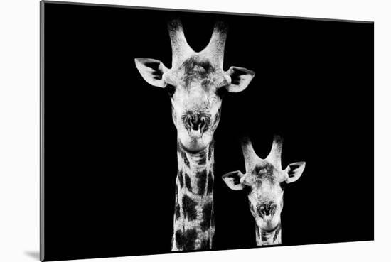 Safari Profile Collection - Portrait of Giraffe and Baby Black Edition VI-Philippe Hugonnard-Mounted Photographic Print