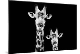 Safari Profile Collection - Portrait of Giraffe and Baby Black Edition VI-Philippe Hugonnard-Mounted Photographic Print