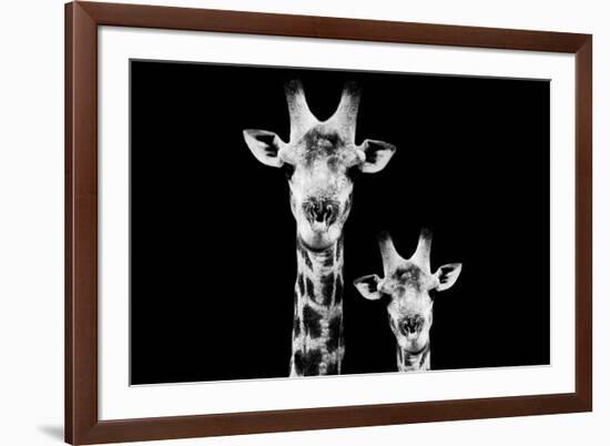 Safari Profile Collection - Portrait of Giraffe and Baby Black Edition VI-Philippe Hugonnard-Framed Photographic Print