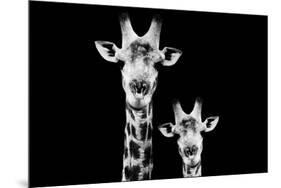 Safari Profile Collection - Portrait of Giraffe and Baby Black Edition VI-Philippe Hugonnard-Mounted Photographic Print
