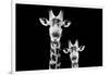 Safari Profile Collection - Portrait of Giraffe and Baby Black Edition VI-Philippe Hugonnard-Framed Photographic Print