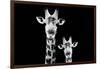 Safari Profile Collection - Portrait of Giraffe and Baby Black Edition VI-Philippe Hugonnard-Framed Photographic Print