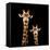 Safari Profile Collection - Portrait of Giraffe and Baby Black Edition-Philippe Hugonnard-Framed Stretched Canvas
