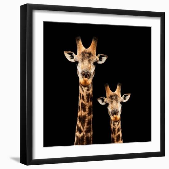 Safari Profile Collection - Portrait of Giraffe and Baby Black Edition-Philippe Hugonnard-Framed Photographic Print